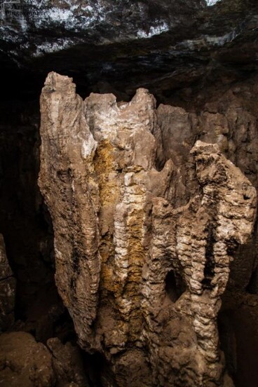 Камское Устье: гипсовые штольни и Юрьевская пещера - фото №9 на Nethouse.Академия