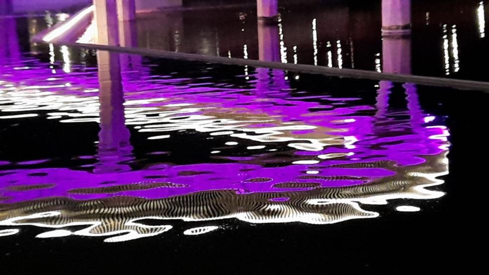 Обзорная экскурсия по парку «Притяжение» - фото №3 Обзорная экскурсия по парку «Притяжение» - фото №3 на Nethouse.Академия