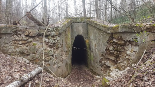 Тайны Белянкинского леса: по старинной ж/д насыпи в поисках каменных туннелей и родников.