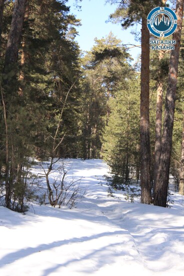 Железнодорожная история: Юдино - фото №7 на Nethouse.Академия