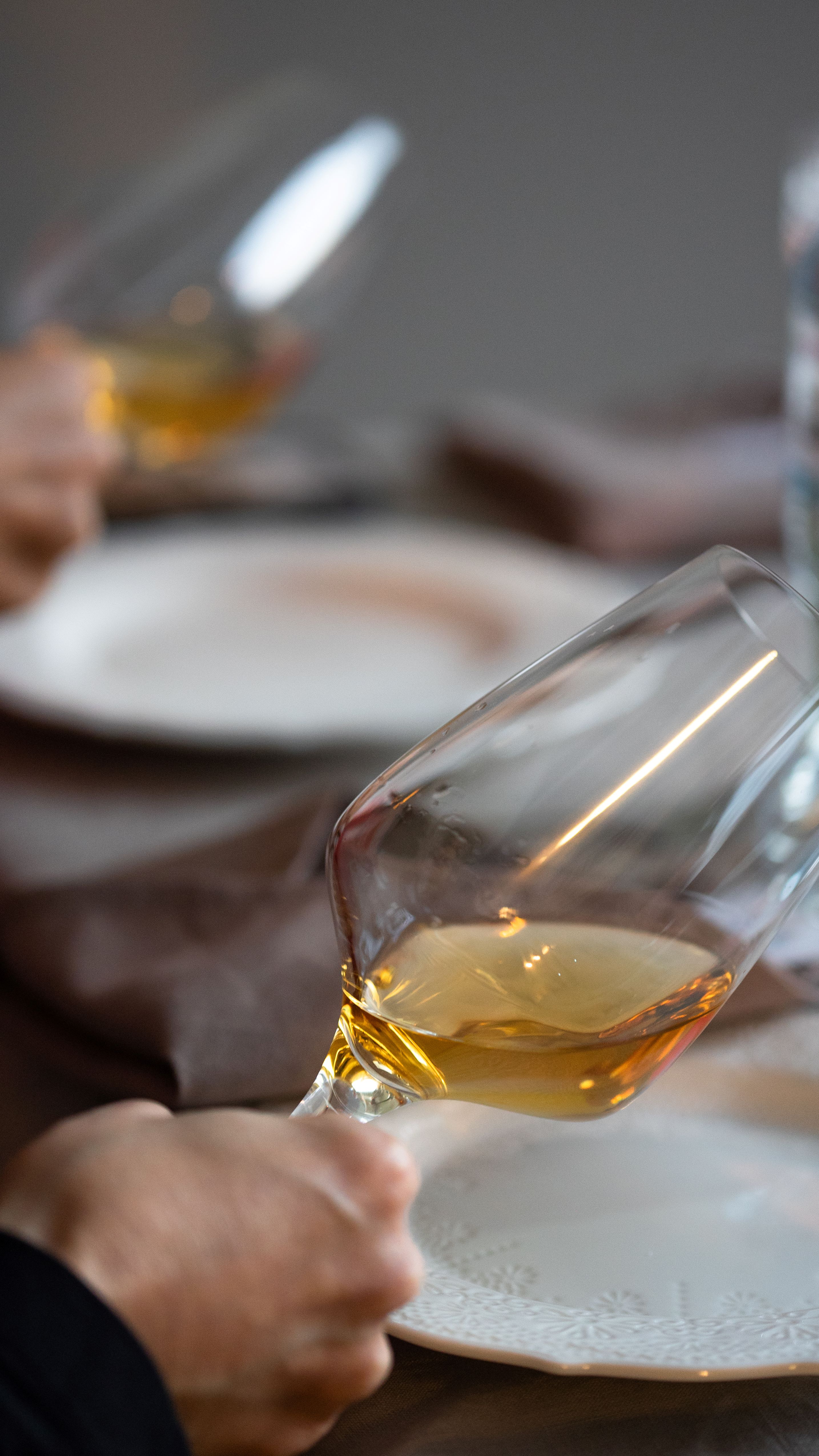 Дегустация красных вин - фото №2 Дегустация красных вин - фото №2 на Nethouse.Академия