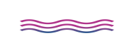 Логотип организатора