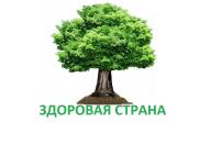 Логотип организатора