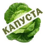 Логотип организатора